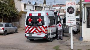 Relacionada inshot_20260129_113423439.jpg