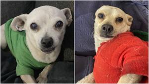 Relacionada fotojet-10.jpg