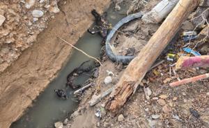 Relacionada whatsapp-image-2026-01-29-at-40556-pm.jpg