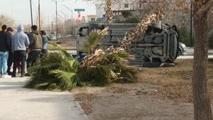 Relacionada whatsapp-image-2026-01-29-at-43101-pm.jpg