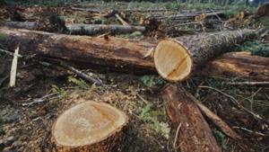 Relacionada screenshot-2026-01-29-200800-1.jpg