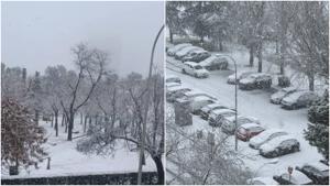 Relacionada fotojet.jpg