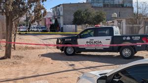 Relacionada inshot_20260130_120252274.jpg