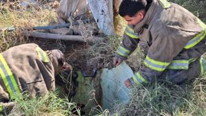 Relacionada 697cfc5a7158d__697cfc5a7158f.jpg