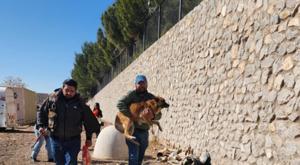 Relacionada descarga-67.jpg