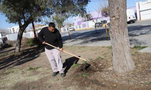 Relacionada img-20260130-wa0140.jpg