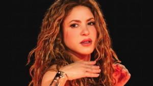 Relacionada screenshot-2026-01-30-170252-1.jpg