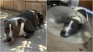 Relacionada fotojet-1.jpg