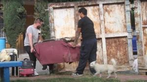 Relacionada principal_principal_fotojet-1.jpg