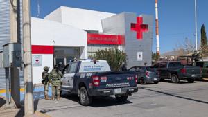 Relacionada inshot_20260131_130932062.jpg