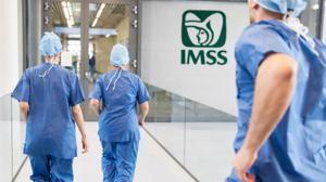 Relacionada imss-d.jpg