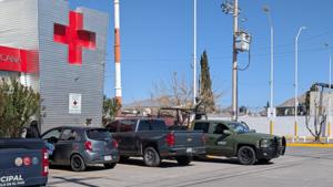 Relacionada inshot_20260131_134235237.jpg