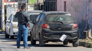 Relacionada inshot_20260131_141121741.jpg