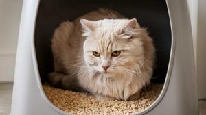 Relacionada arenero.jpg