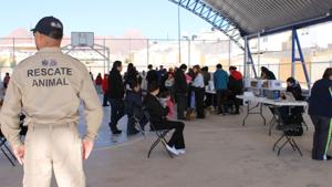 Relacionada mas-de-mil-600-servicios-para-mascotas-ofrecio-municipio-en-romanzza.jpg