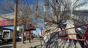 Relacionada descarga-58.jpg