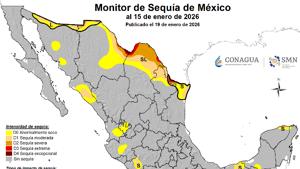 Relacionada msm20260115.jpg