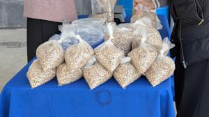 Relacionada pxl_20260203_154634490.jpg