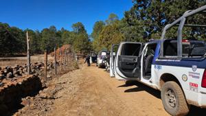 Relacionada inshot_20260203_114545220.jpg