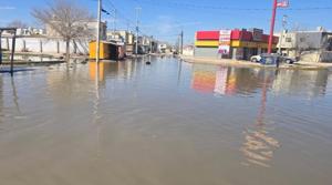 Relacionada whatsapp-image-2026-02-03-at-115902-am.jpg