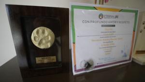 Relacionada 69826989ac11e__69826989ac11f.jpg