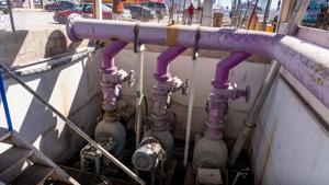 Relacionada img-20260203-wa0313.jpg