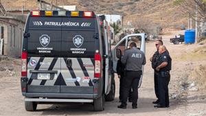 Relacionada inshot_20260204_123132722.jpg