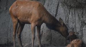 Relacionada download-2026-02-04t123518458.jpg