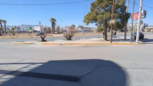 Relacionada pxl_20260204_173952621.jpg