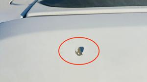 Relacionada whatsapp-image-2026-02-04-at-125044.jpg