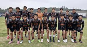 Relacionada cenizadeliciascup.jpg