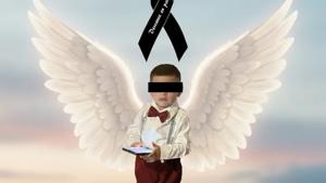 Relacionada dylan-.jpg