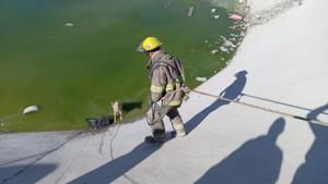 Relacionada whatsapp-image-2026-02-04-at-83607-pm.jpg