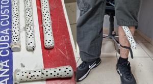 Relacionada aves.jpg