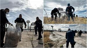 Relacionada pixlr_20260205171549012.jpg