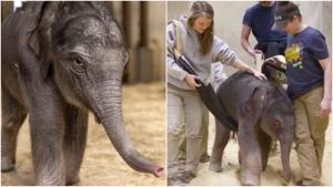 Relacionada fotojet.jpg