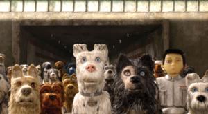 Relacionada descarga-2026-02-06t085039236.jpg