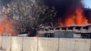 Relacionada principal_captura-de-pantalla-2026-02-05-a-las-115926-am.jpg