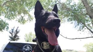 Relacionada vico.jpg