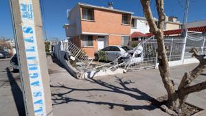 Relacionada inshot_20260206_123035747.jpg