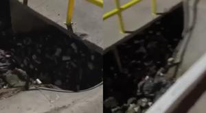 Relacionada parque-el-platanito.jpg