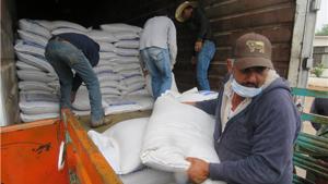 Relacionada 16318-2.jpg