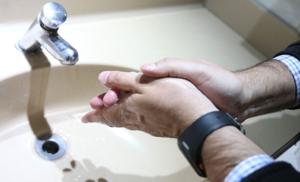 Relacionada 6987b2fd74a86__6987b2fd74a87.jpg