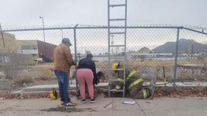 Relacionada 630903064_909847101558191_6490459444986100828_n.jpg