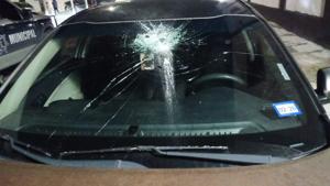 Relacionada whatsapp-image-2026-02-08-at-15632-pm.jpg