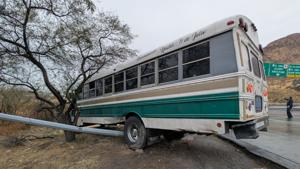 Relacionada inshot_20260209_090053046.jpg