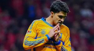 Relacionada download-2026-02-09t105724990.jpg