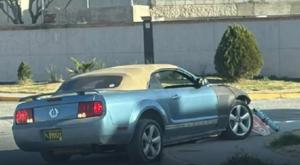 Relacionada download-2026-02-09t111725134.jpg