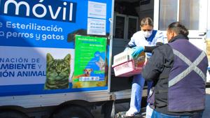 Relacionada whatsapp-image-2026-02-09-at-10401-pm-4.jpg