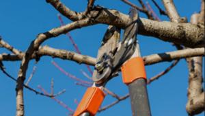 Relacionada screenshot-2026-02-09-153527-1.jpg